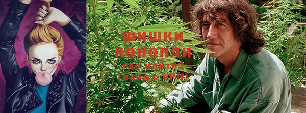 твердый Гусь-Хрустальный