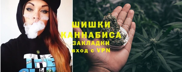 твердый Гусь-Хрустальный