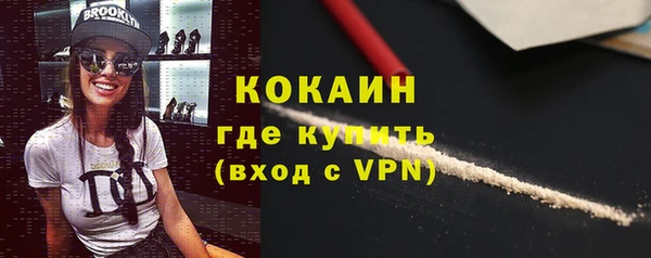 твердый Гусь-Хрустальный