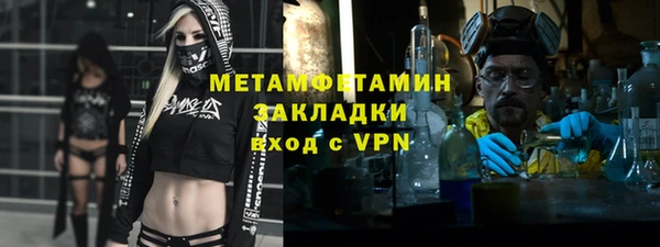 шишки Гусев
