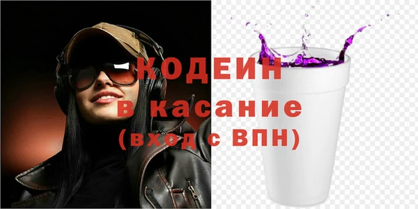 шишки Гусев