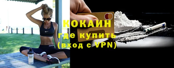 шишки Гусев