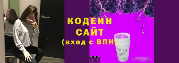 твердый Гусь-Хрустальный