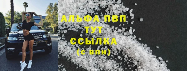 шишки Гусев
