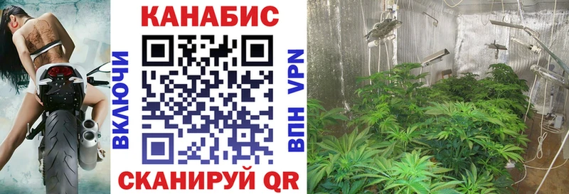 Купить где  Бийск  Шишки марихуана VHQ 